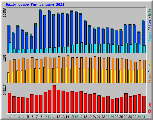 Daily usage for January 2021