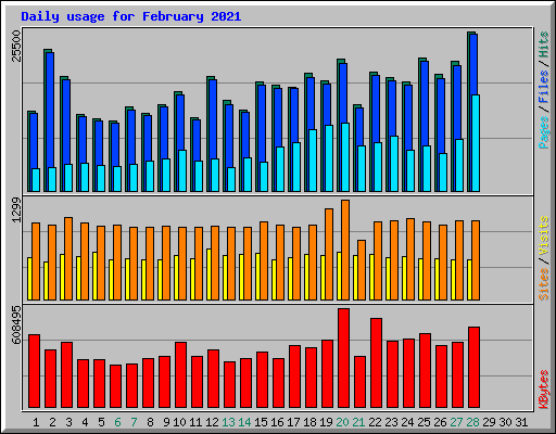 Daily usage for February 2021