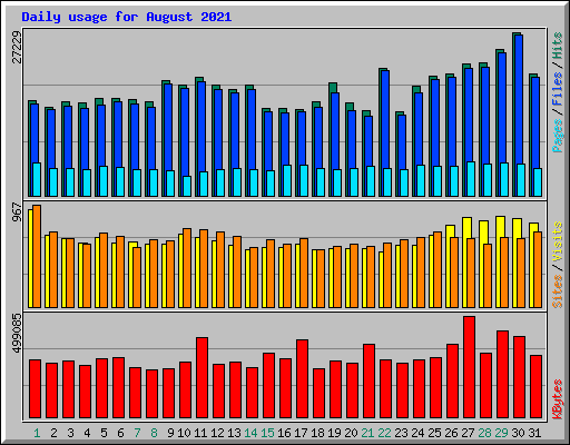 Daily usage for August 2021