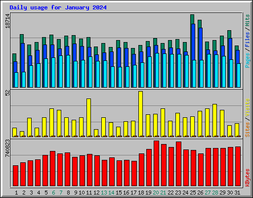Daily usage for January 2024