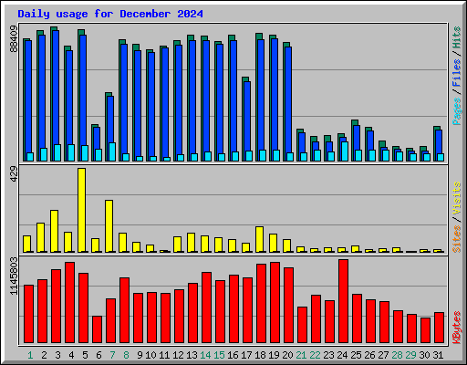 Daily usage for December 2024