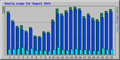Hourly usage for August 2015