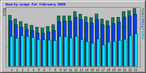 Hourly usage for February 2020