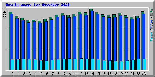 Hourly usage for November 2020