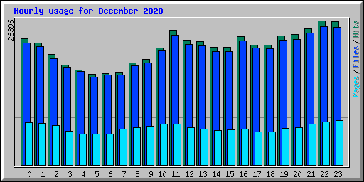 Hourly usage for December 2020