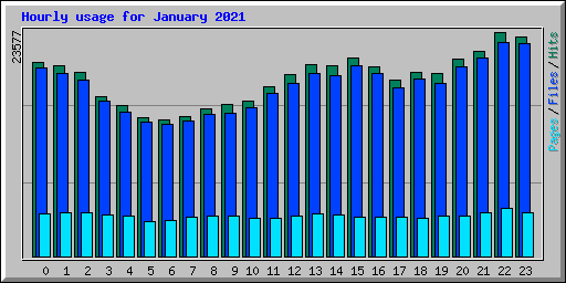 Hourly usage for January 2021