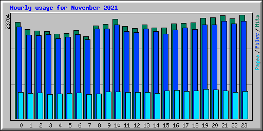 Hourly usage for November 2021