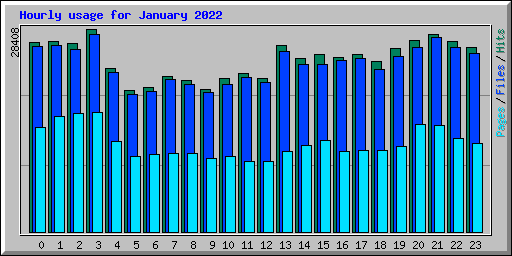 Hourly usage for January 2022