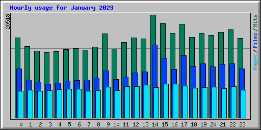 Hourly usage for January 2023