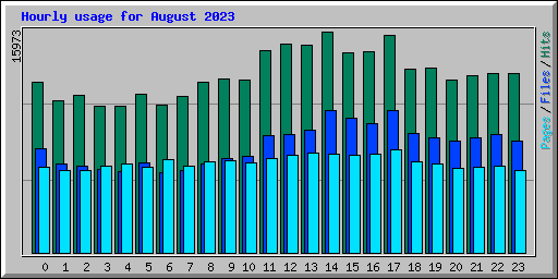 Hourly usage for August 2023