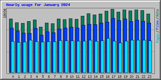 Hourly usage for January 2024
