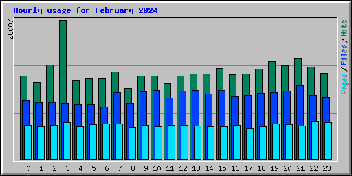 Hourly usage for February 2024
