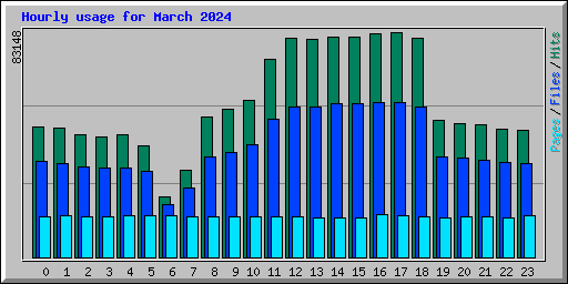 Hourly usage for March 2024