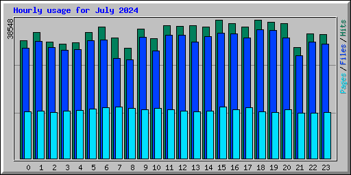 Hourly usage for July 2024