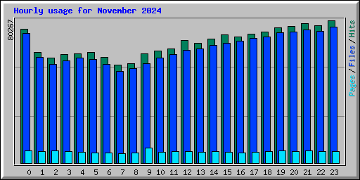 Hourly usage for November 2024