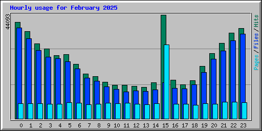 Hourly usage for February 2025