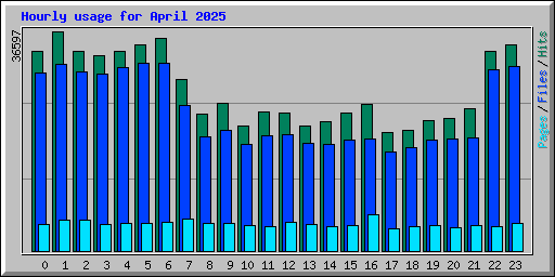 Hourly usage for April 2025